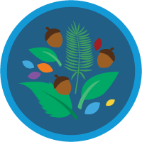 Salesforce Culture and Values badge