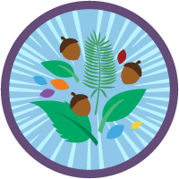 Salesforce Values: Quick Look badge